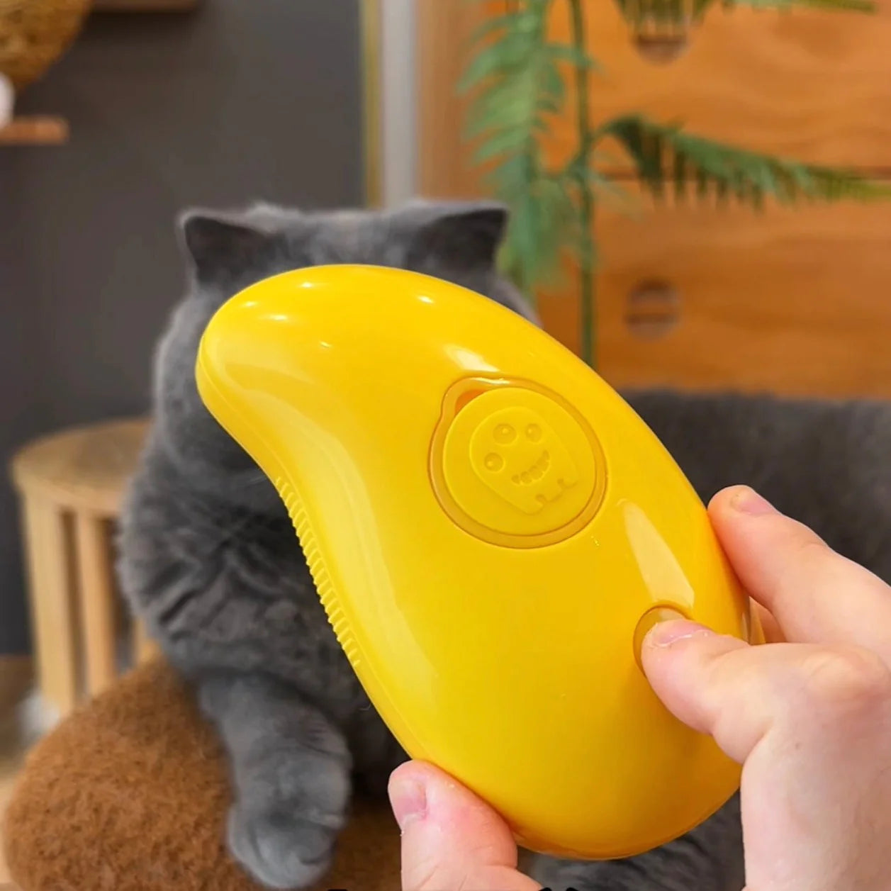 Steamy WoofxMeow Brush